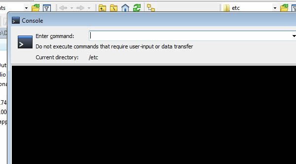 winscp console