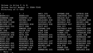 ms-dos