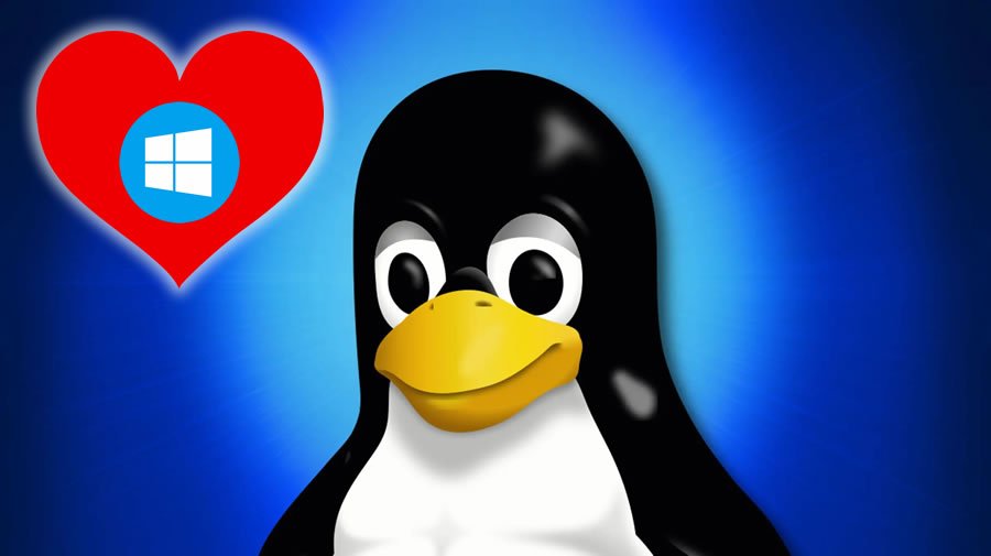 linux ama windows