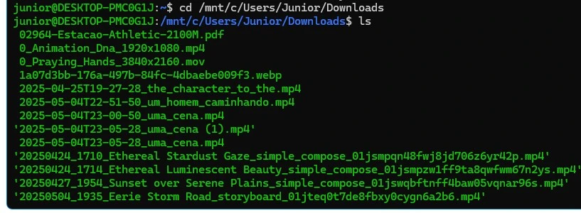 wsl windows linux gerenciador de arquivos