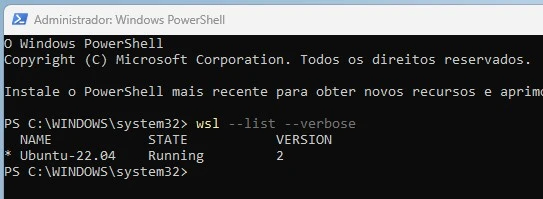 wsl versão 2