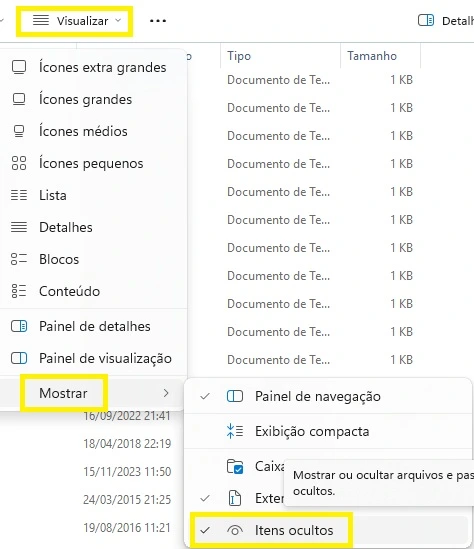 visualizar itens ocultos windows explorer